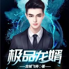 极品龙婿(多人剧)有声小说