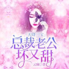 天降三宝：总裁老公坏又甜(多人剧)有声小说