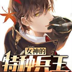 女神的特种兵王有声小说