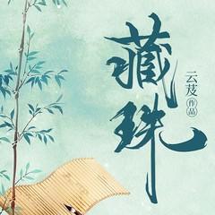 藏珠有声小说