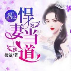 豪门重生之悍妻当道有声小说