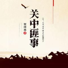 关中匪事(多人剧)有声小说