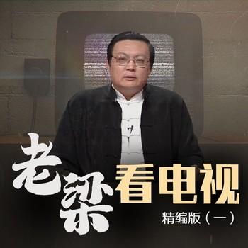 老梁看电视精编版(多人剧)有声小说